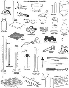 an image of laboratory equipment labeled in black and white, including beakles, flasks, test tubes, spoons, measuring cups, etc