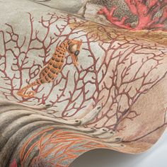 a close up of a blanket with seahorses and corals printed on it