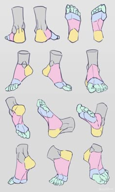 the feet and ankles are shown with different colors