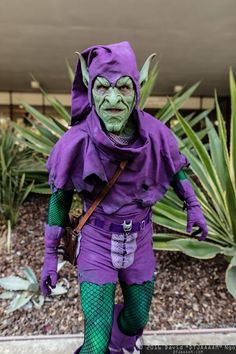 a man dressed in purple and green costume