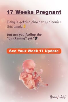 The ultimate week by week natural pregnancy guide! Learn everything from pregnancy symptoms, development, learn to track your baby's growth and natural remedies for a healthy pregnancy. Click to find a complete timeline from the first trimester, second trimester, third trimester with tips for mom and baby to prepare them for a natural birth. See what's up with baby, mama, and more when you're 17 weeks pregnant.  #naturalpregnancy #pregnancytips Pregnant Symptoms, Third Month Of Pregnancy, 17 Weeks Pregnant, 15 Weeks Pregnant, Pregnant Life, Pregnancy Week, Feeling Nauseous