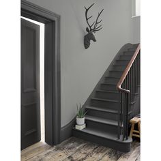 an entry way with stairs and a deer head on the wall