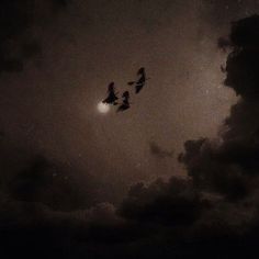 three birds flying in the night sky with clouds and sun shining through dark cloudy skies