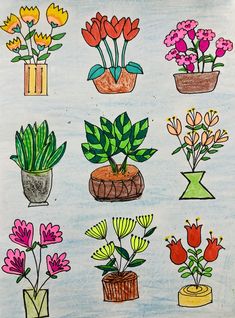 a drawing of different types of flowers in pots