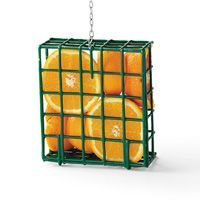 oranges in a cage hanging from a chain