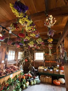 a room filled with lots of different types of fruits and vegetables hanging from the ceiling