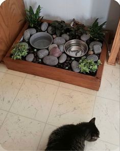 a cat is sitting on the floor next to some rocks and water in a bowl