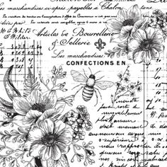 Rub-on transfer design that features a collage of monochromatic vintage French accounting ledgers, accompanied by buzzing bees and delicate flowers. Furniture Transfers, Re Design, Redesign With Prima, Image Transfers, Rub On Transfers, Prima Marketing, Dixie Belle Paint, Print Decals, Stencil Template