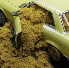 an old car is covered in yellow flowers and grass as it sits on the ground