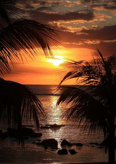 the sun is setting over the ocean with palm trees and rocks in the foreground