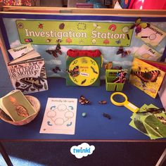 a display case with insect identification cards, scissors and other items on top of it