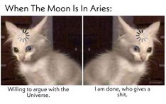 When The Moon Is In Aries🌙 Aries Moon Aesthetic, Nicole Core, Witch Jokes, Scorpio Mars, Astrology Signs Aries, Aries Aesthetic