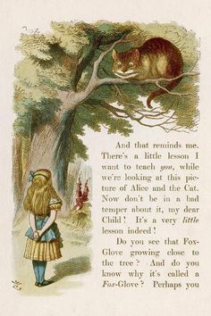 an image of a cat that is sitting on a tree branch with the words alice and the