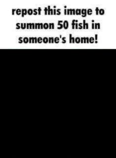 someone's fish in someone's home, and the caption reads repost this image to summon 50 fish in someone's home