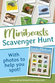 an advertisement for the minibeasts scavenger hunt with photos to help you spot