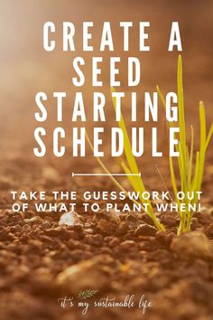 a seed sprout with the words create a seed starting schedule take the guess out of what to plant when