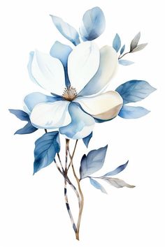 Watercolor Templates, Magnolia Watercolor, Modern Watercolor Art, Watercolor Flower Background, Flower Drawing Tutorials, Beautiful Abstract Art, Watercolor Designs, Watercolor Art Paintings