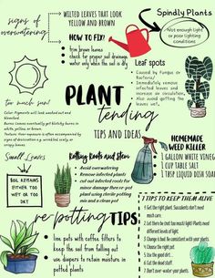 a poster with some plants and other things to do in the houseplant garden