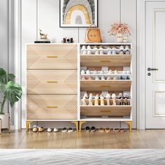 an open shoe rack in the corner of a room with shoes on it and a potted plant next to it