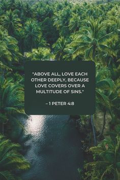 a river surrounded by palm trees with a quote above it that reads, above all love each other deeply, because love covers over a multitude of sin