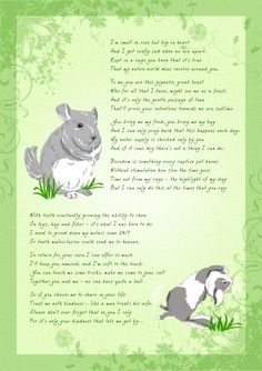 an animal poem written in green and white with two rabbits on the grass next to it