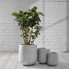 PRICES MAY VARY. Stylish Concrete Planter - Unveil a modern design boasting graceful curves and an authentic surface finish! Enhance your space's allure with this contemporary masterpiece adorned with visible pores for an enchanting touch of charm. Handmade Plant Pot - Crafted from an exclusive blend of concrete and fiberglass formula, harnessing the full spectrum of their benefits: strength, durability, weather and damage resistance, and enduring color. Large & Versatile - Whether showcasing a Handmade Concrete Planters, Plant Pots Crafts, Concrete Containers, Large Outdoor Planters, Handmade Plant, Concrete Planter, Cement Planters, Concrete Color, Indoor Planter