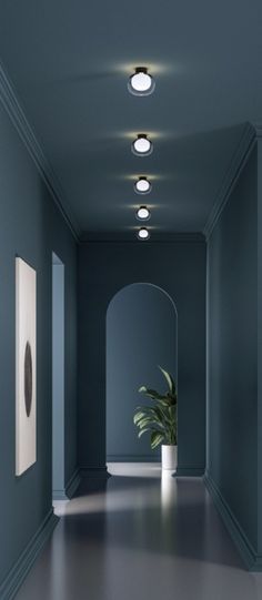 an empty hallway with a potted plant in the center and two framed pictures on the wall