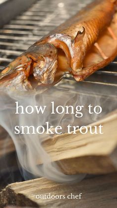 how long to smoke trout Smoked Rainbow Trout Recipes, Whole Trout Recipes, Smoked Trout Recipe, Grilled Trout, Fish Cooking, Big Green Egg Recipes, Green Egg Recipes