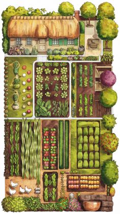 Illustration of a charming cottage garden with a thatched-roof house, diverse vegetable plots, colorful trees, and a few white chickens, conveying tranquility. One Acre Homestead Layout, Homestead Layout, Acre Homestead, Layout