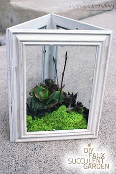 a white frame with some plants in it and moss growing out of the bottom half