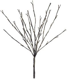 Willow Branch - 20 Inches Floral Lights HI-LINE GIFT LTD. Floral Lights, Lighted Trees, Lighted Tree Branches, Willow Branches, Icicle Lights, Rope Lights, Led Decor, Electrical Cord, Pathway Lighting