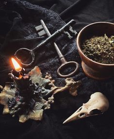 an assortment of items on a table including a candle, skull bones and other objects