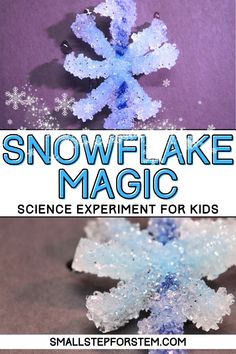 snowflake magic science experiment for kids