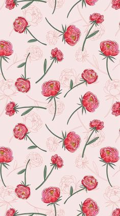 pink flowers on a white background with green stems