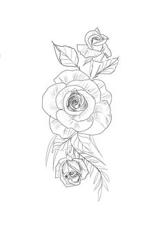 a black and white drawing of three roses