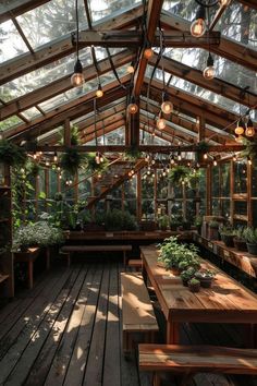 an indoor greenhouse with wooden benches and plants