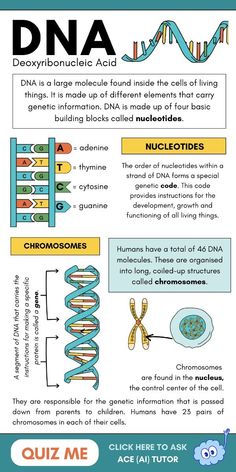 an info sheet describing the different types of animals and their functions in human health care