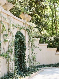 an outdoor garden with ivy growing on the wall and potted plants hanging over it