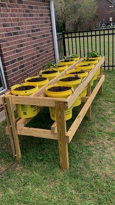 several yellow buckets filled with plants sitting on top of a wooden bench in front of a brick building