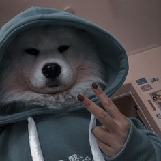 a dog wearing a hoodie making the peace sign