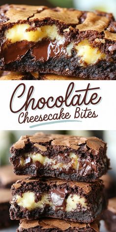 Chocolate Cheesecake Bites with a Rich, Creamy Center Chocolate Cheesecake Bites, Cheesecake Cookies, Brownie Bites, Cheesecake Desserts, Cozy Evening, Cheesecake Bites, Cookie Crust, Creamy Cheesecake, Chocolate Cheesecake