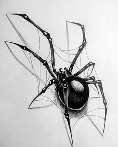 a black and white drawing of a spider