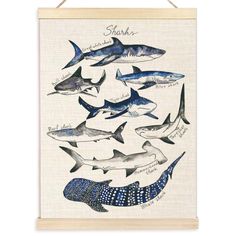 a poster with sharks on it hanging from a wooden frame in front of a white wall