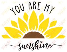 you are my sunshine sunflower svg file for cricut and silhouettes