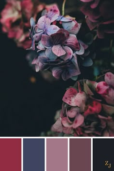 purple and red flowers are featured in this color palette