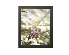 an owl sitting on top of a tree branch with white flowers in the foreground