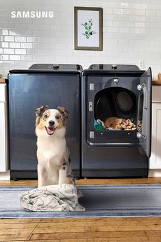 These are domestic appliances that have pet care solutions to help clean after your furry friends. Perfect Laundry Room, Samsung Appliances, Cleaning Checklist, Washer, Navy