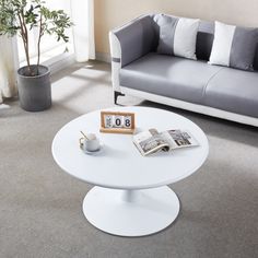 a living room with a couch, coffee table and potted plant