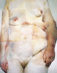 an abstract painting of a woman's body with multiple images in the shape of rectangles