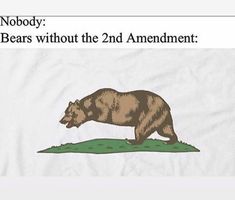 Right To Bear Arms, History Jokes, Bear Arms, Dad Jokes, My Ride, Animal Memes, Dankest Memes, Just In Case